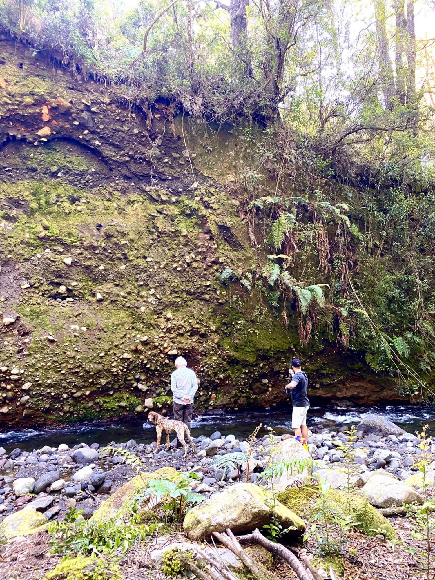 Villa Glamping Rio Sur à Puerto Varas Extérieur photo